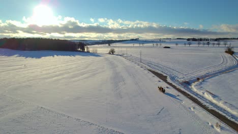 horse-drawn winter sleigh in a beautiful snowy landscape with sun shining through the clouds