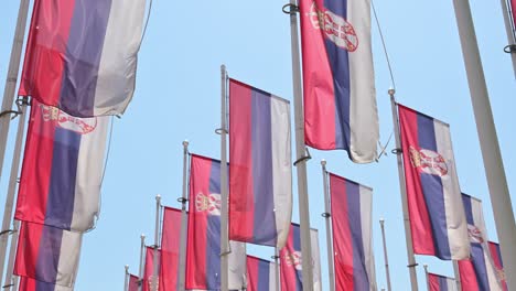 serbian flags flapping in hot summer breeze, 4k selective focus