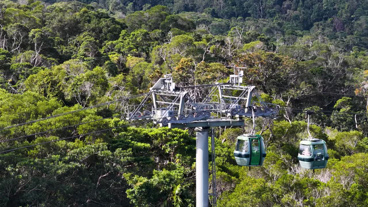 Cable cars glide over a dense rainforest, showcasing vibrant greenery and serene aerial views in natural daylight