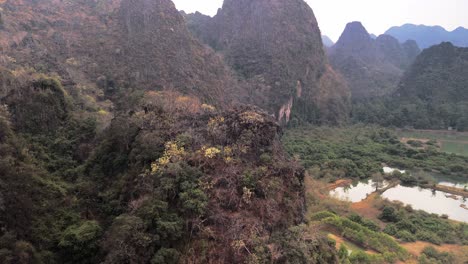 la primavera trae la floración de los árboles a una formación cárstica por lo demás seca en el norte de laos, sudeste asiático