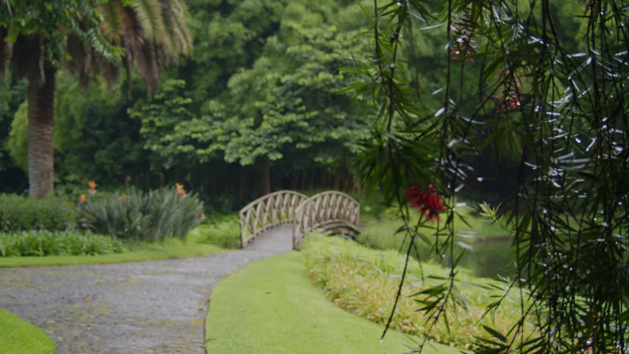 Sebuah jembatan pejalan kaki yang damai melintasi kolam kecil yang dikelilingi oleh tanaman hijau subur di Antigua, Guatemala