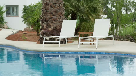 swimming pool surrounded by a paradise garden