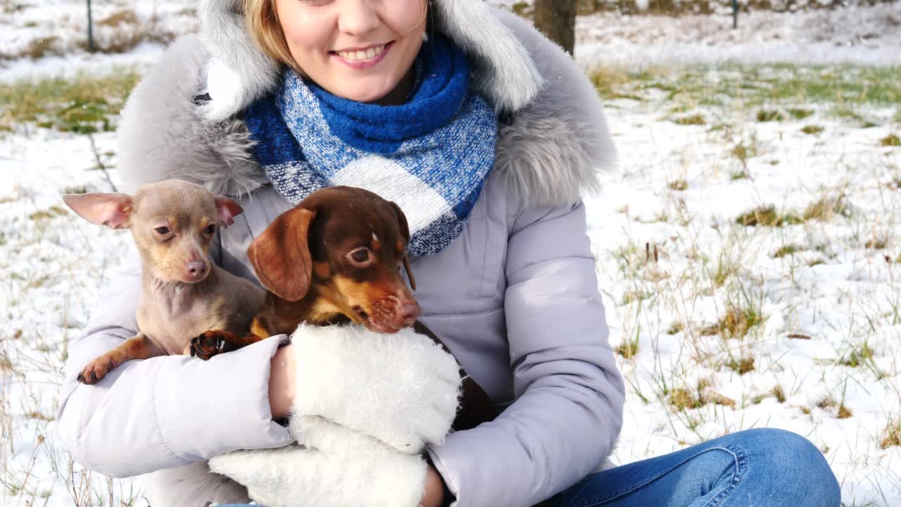 여자 는 겨울 밖 에서 작은 개 들 과 함께 놀고 있다