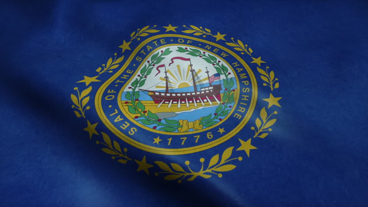 Bandiera dello stato del New Hampshire che sventola al vento. Loop senza soluzione di continuità con texture del tessuto altamente dettagliata