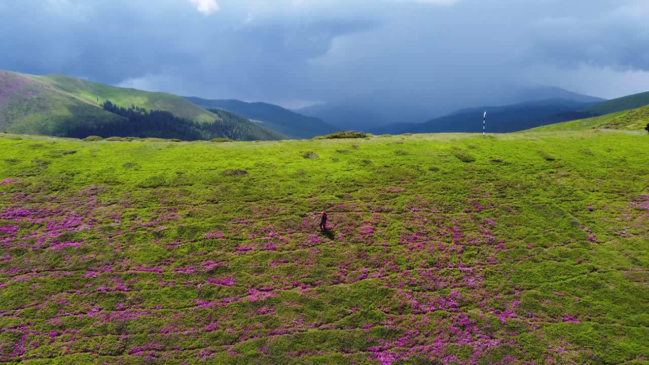 descubre el impresionante paisaje primaveral de las montañas bucegi desde arriba con este fascinante video de dron