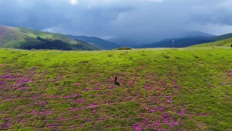 Descubre-El-Impresionante-Paisaje-Primaveral-De-Las-Montañas-Bucegi-Desde-Arriba-Con-Este-Fascinante-Video-De-Dron