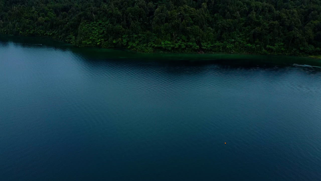 Looking at trees on the side of lake Rotoma, Rotorua, New Zealand.