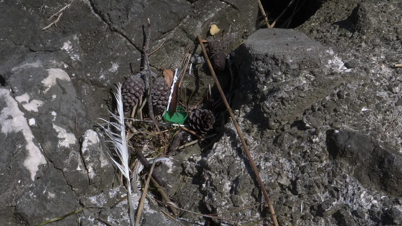 Green plastic bottle cap on the ground with fallen pine cones. Plastic polluting the earth. Rubbish in nature.