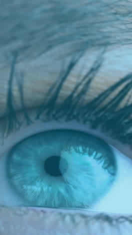 animação do olho azul da mulher e informações digitais com linhas vermelhas