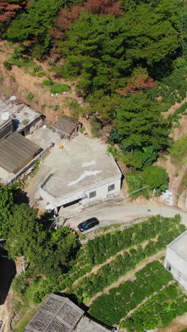 aerial view of rural village with tea plantations