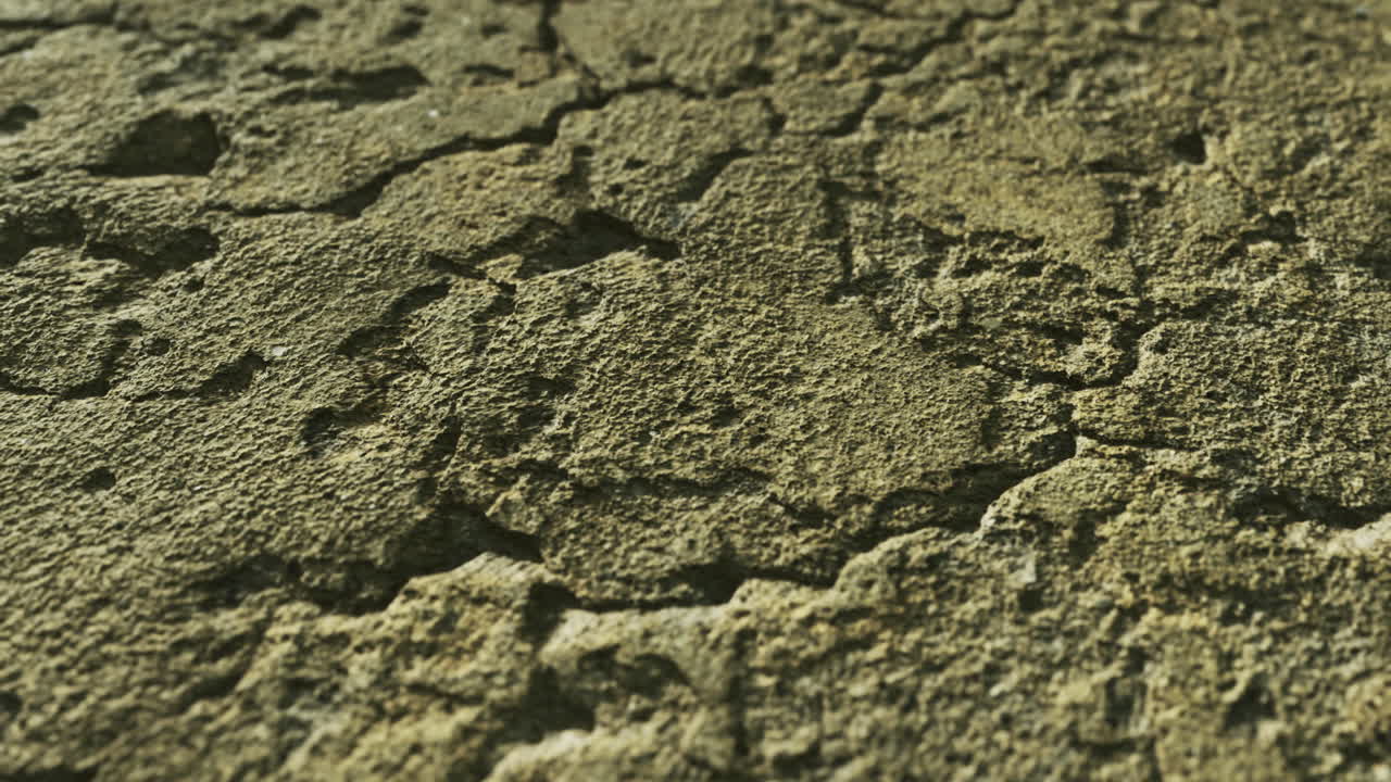 Texture of weathered stone surface showing intricate patterns in detail