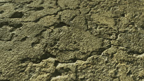 texture of weathered stone surface showing intricate patterns in detail