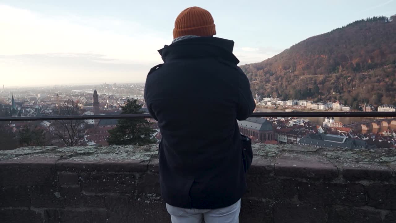 Panoramic View of Heidelberg, Germany from a Hilltop