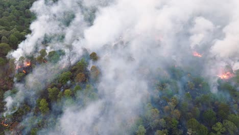 drone: panorámica de un incendio forestal en uruapan michoacan