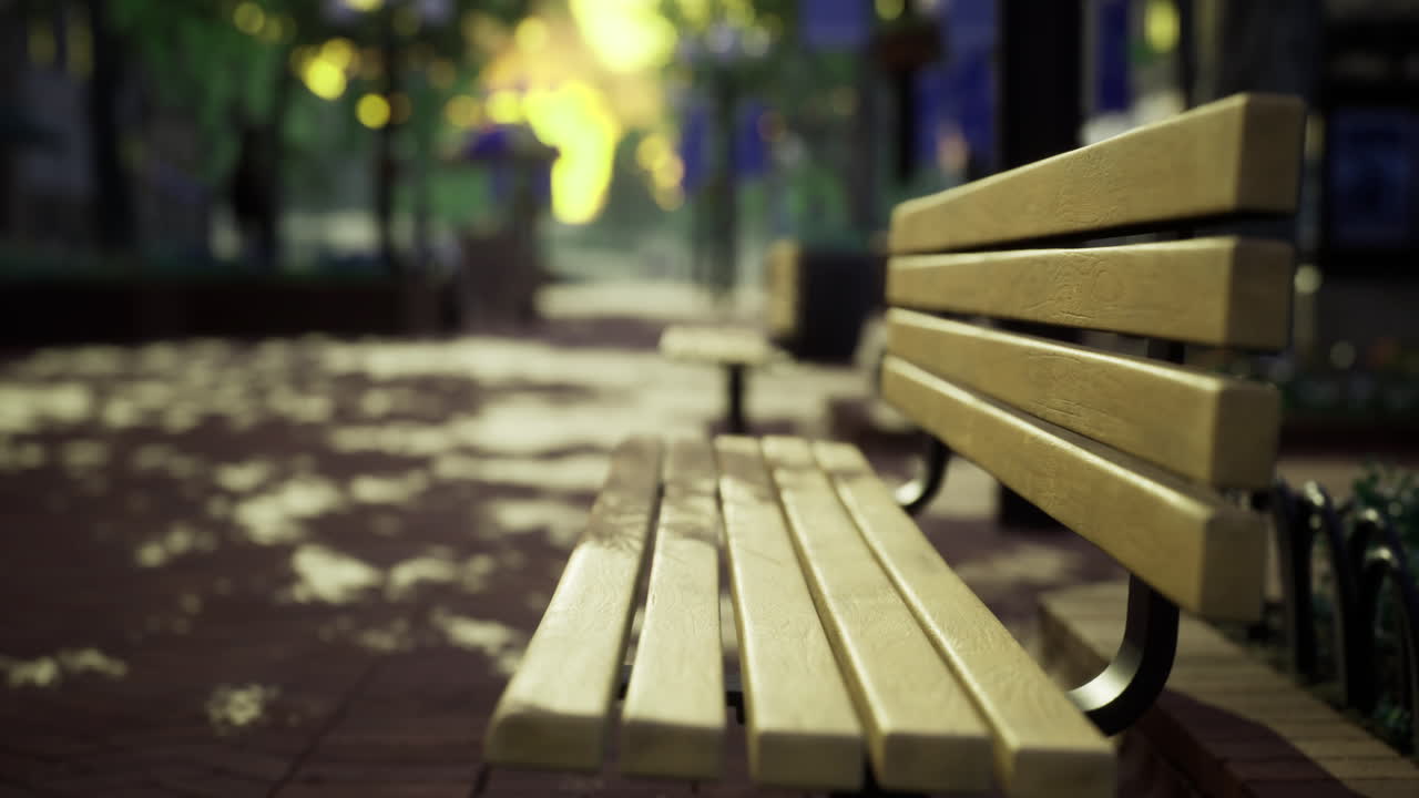 Sunlight shines on empty park benches in a vibrant community space
