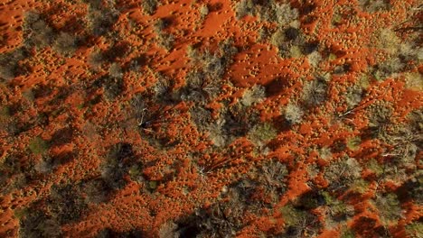 Slow-aerial-ascent-from-low-lying-to-high-across-a-vast-Australian-outback-landscape,-tilt-up