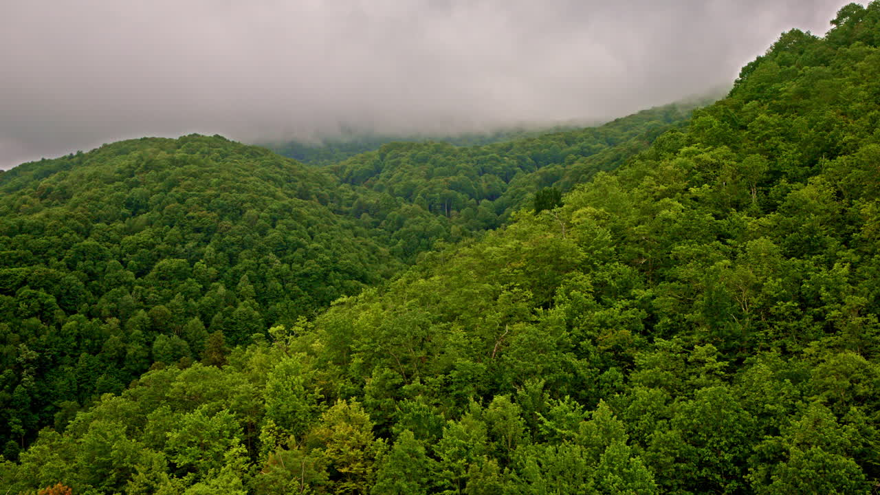 Drone footage of peaceful fog blanketing the Smoky range