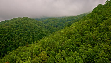drone footage of peaceful fog blanketing the smoky range