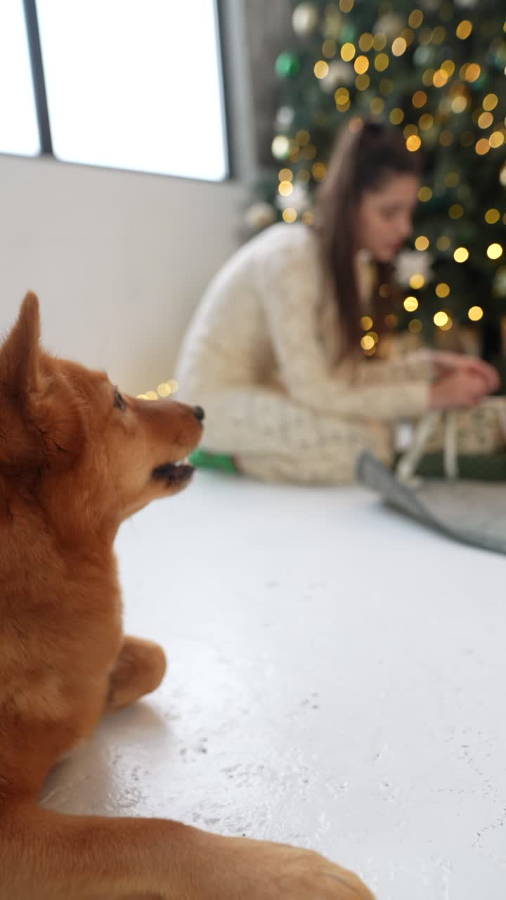 собака и женщина отдыхают на рождество.