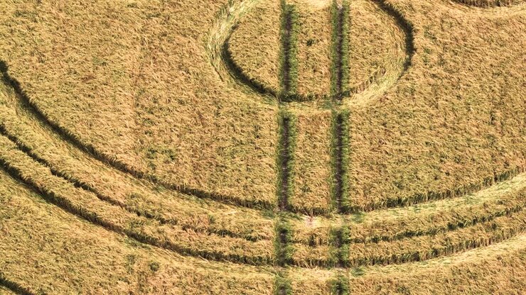 Primo piano su un cerchio nel grano a forma di clown sorridente, vista aerea che ruota sopra un campo di grano dorato mosso dal vento.