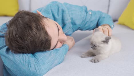happy man and kitten scottish fold cat.