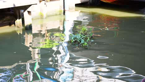 water reflections at khlong lat mayom market