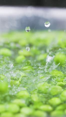 vertical-macro-food-close-up-of-Brussels-sprouts-falling-in-to-clean-clear-water-vegetable-healthy-diet