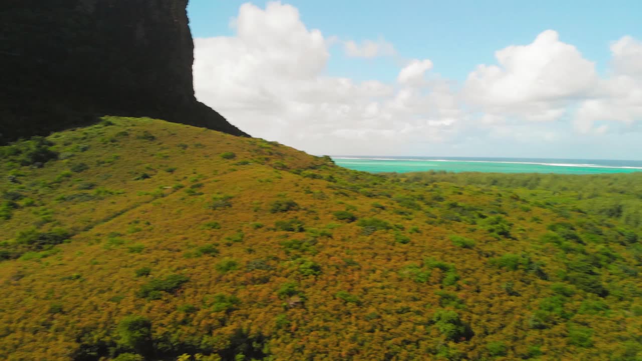 vista aérea del bosque de playa de la isla mauricio con la montaña morne brabant
