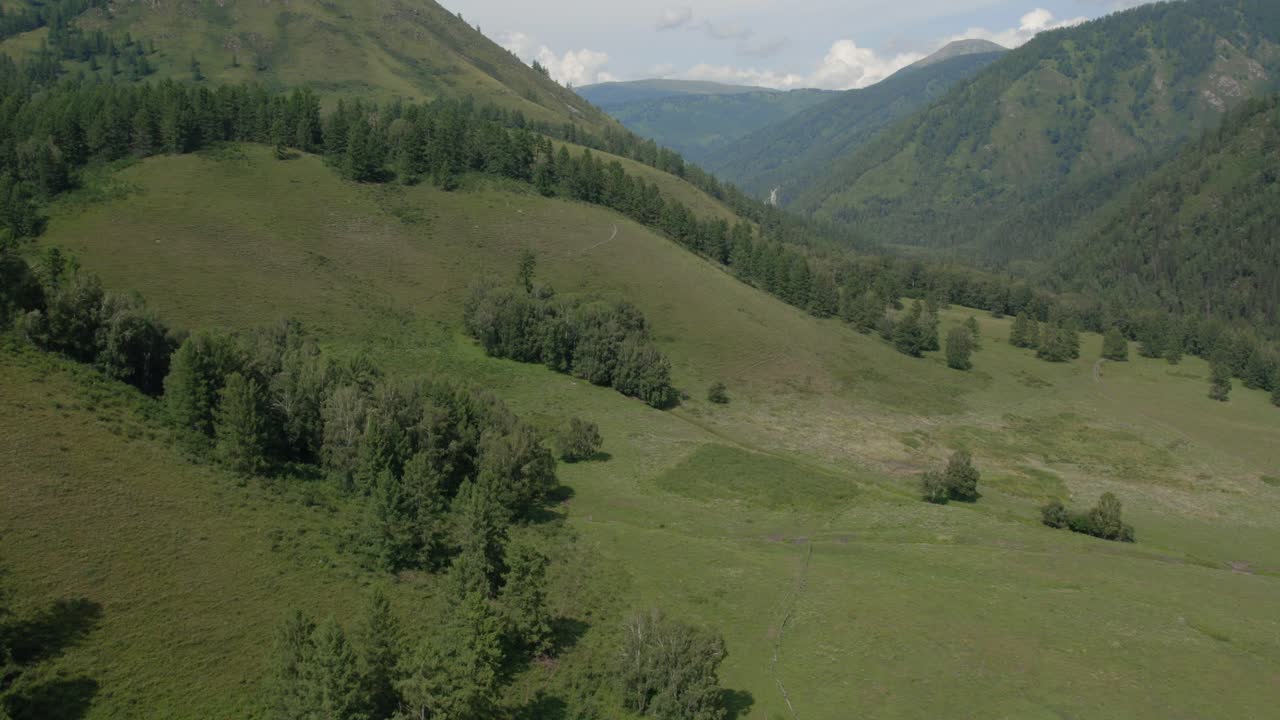 Riprese aeree di un'ampia valle montana verde con pendii boscosi e creste montuose distanti in una giornata di sole nell'Altai, Russia, che mostrano una natura selvaggia e incontaminata.