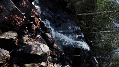 vertical shot of waterfall in a tropical forest at saint-come, quebec, canada