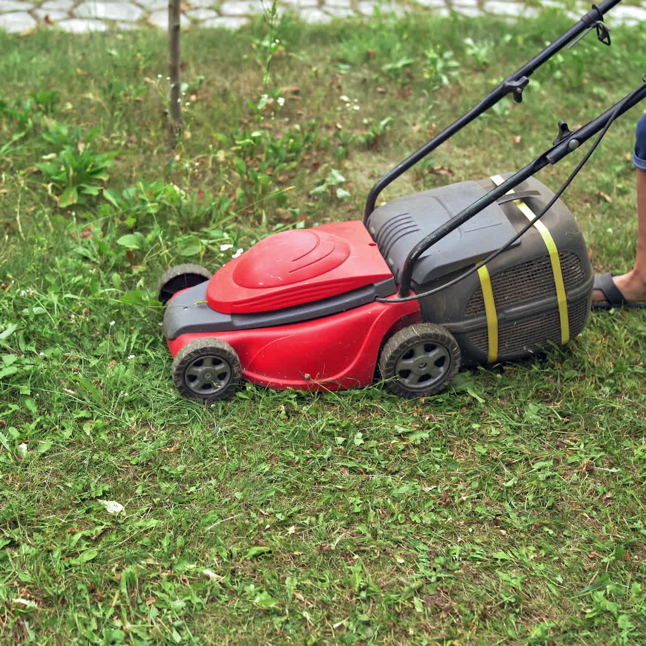 Electric lawn mower in the garden. Boy cutting grass by lawn mowing machine in summer day. Gardening activity.