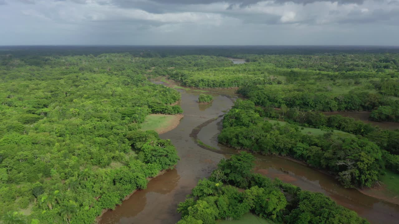 vista aérea hacia adelante sobre el río en los humedales