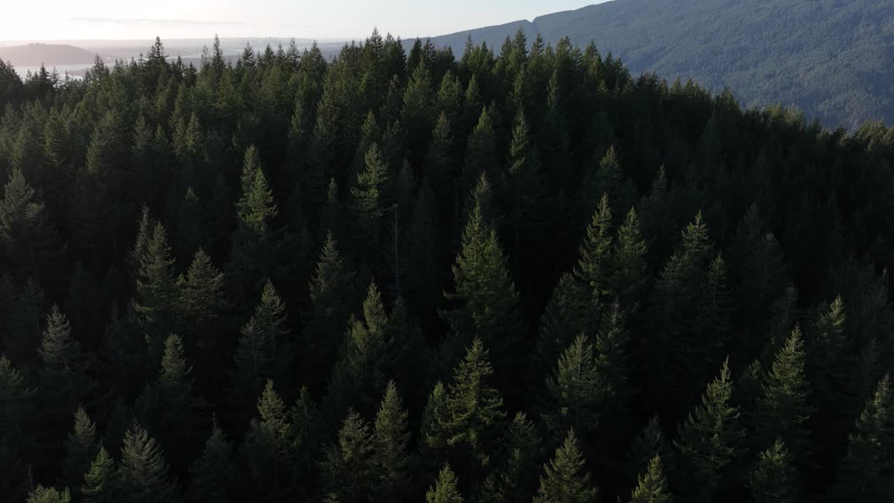 Aerial video of Buntzen Lake in Port Moody BC near Vancouver Canada in the Pacific Northwest in 4K