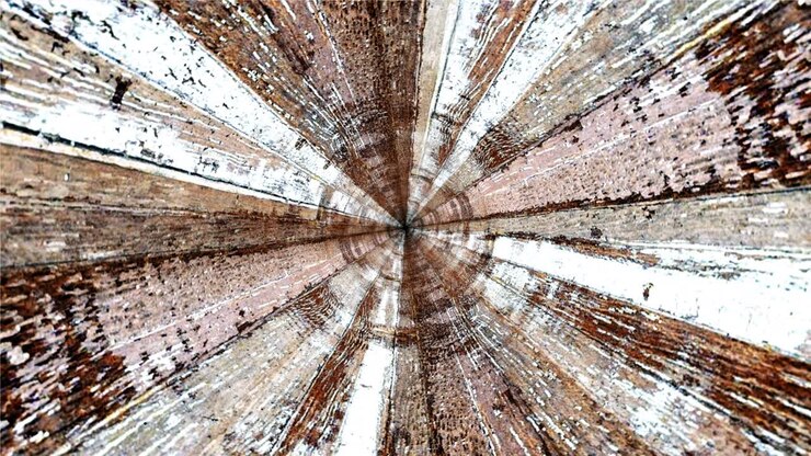 Abstract motion graphic loop brown grunge wood psychedelic twisting in tunnel background multicolored helix vortex light. 4K loop pattern brown yellow round striped swirling hypnotic rotating abstraction
