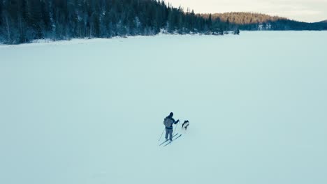 skiing with dog on frozen lake along the mountains in indre fosen, norway