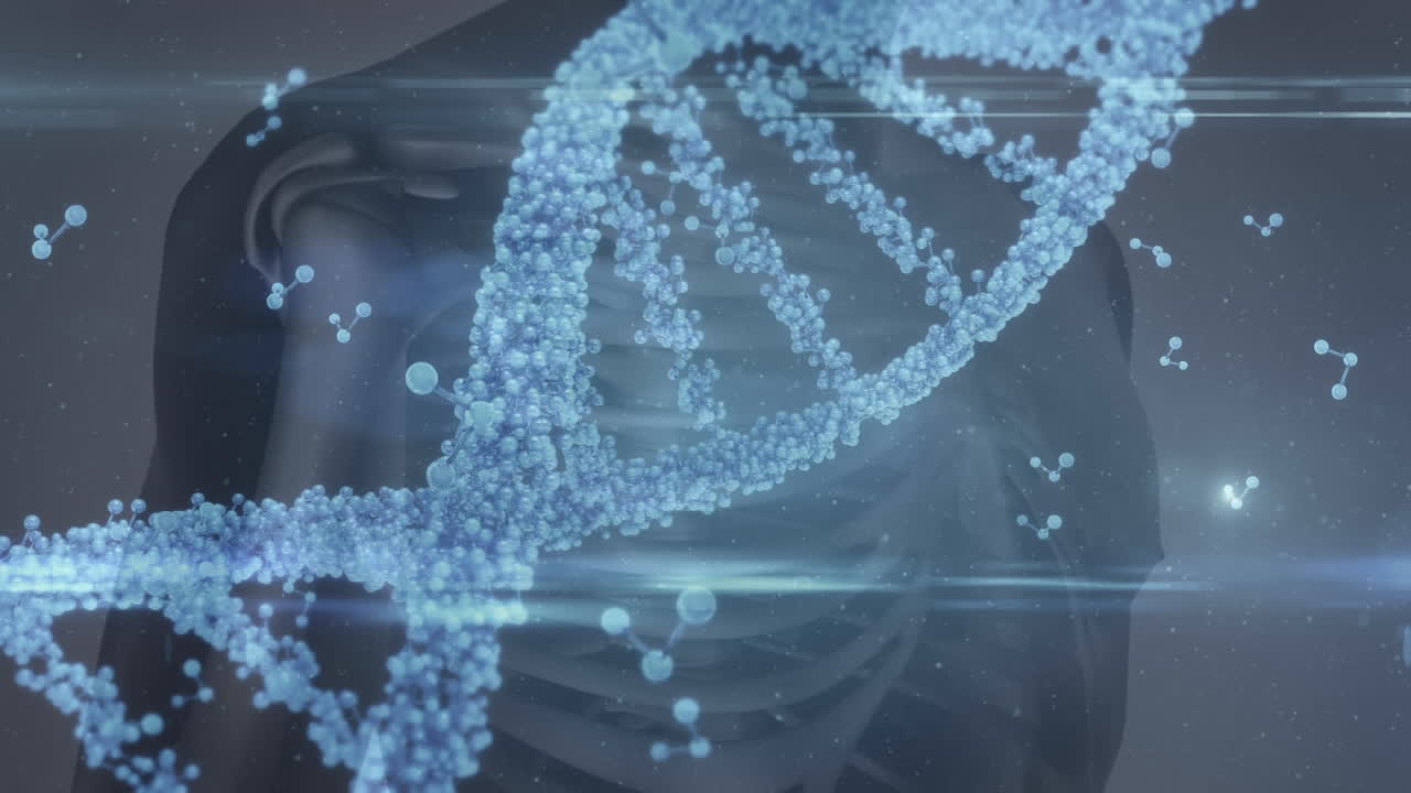 animación de una hebra de adn 3d que gira sobre la sección media del cuerpo humano