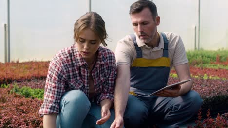 Two-caucasian-botanists-standing-in-the-greenhouse-and-using-digital-tablet