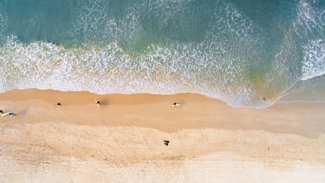 Surfers-walking-on-the-beach-4k