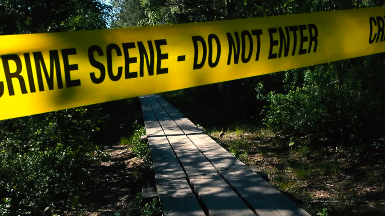 Yellow vibrant colored police Crime Scene Do Not Enter tape pulled over and in front of a wooden boardwalk in a forest marshland bog or wetlands during a sunny day with trees and bushes on the sides