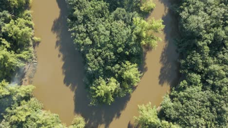 Riparian-forest-seen-from-above-on-a-river-bend