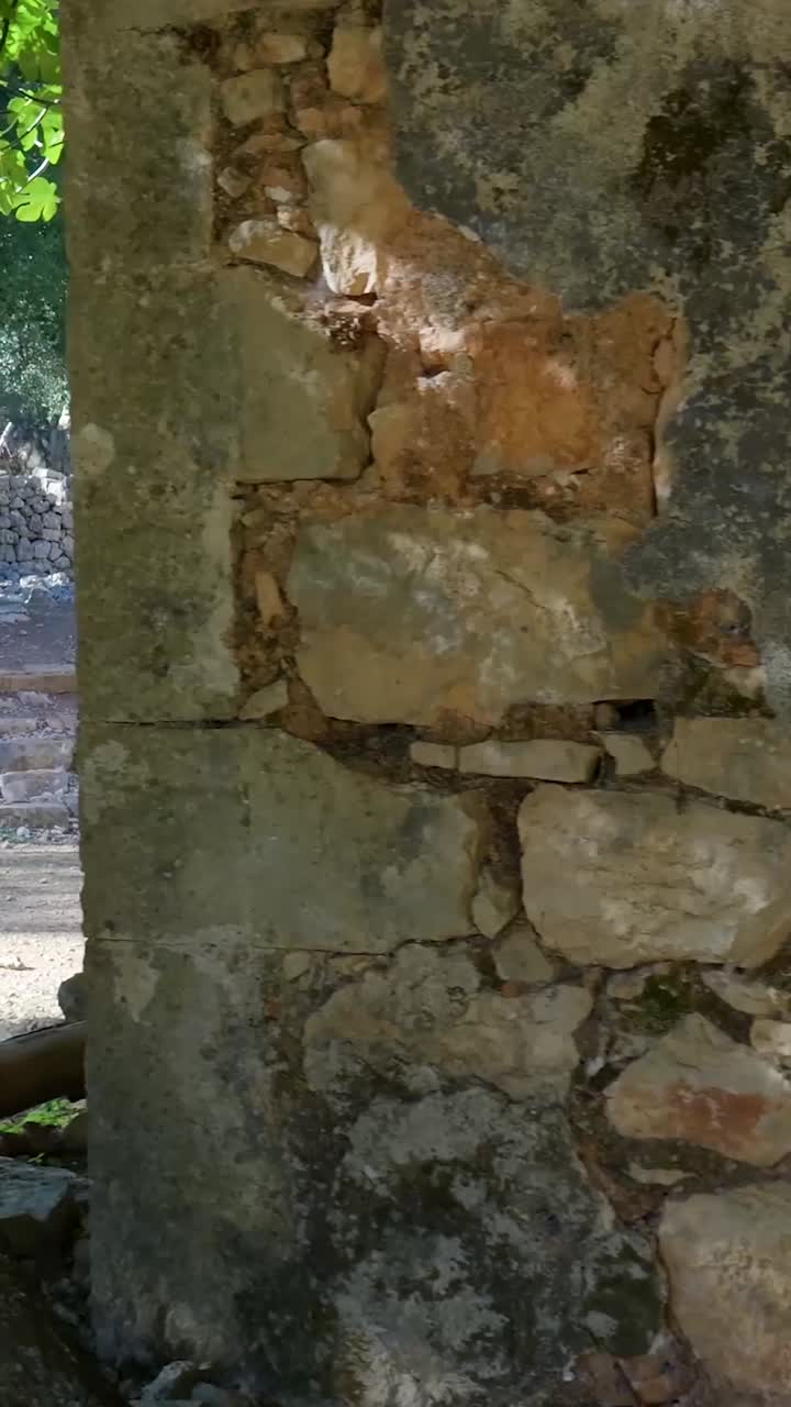 ruinas y árboles antiguos