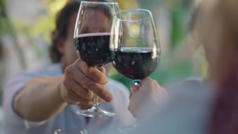 hermosa mujer afroamericana bebiendo vino haciendo brindis con amigos celebrando en vacaciones grupo de personas relajándose al aire libre 4k