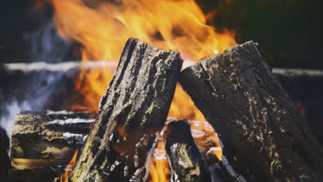 Afternoon-standing-and-closer-footage-from-other-part-of-the-big-wood-pile-which-is-burning-and-smokes