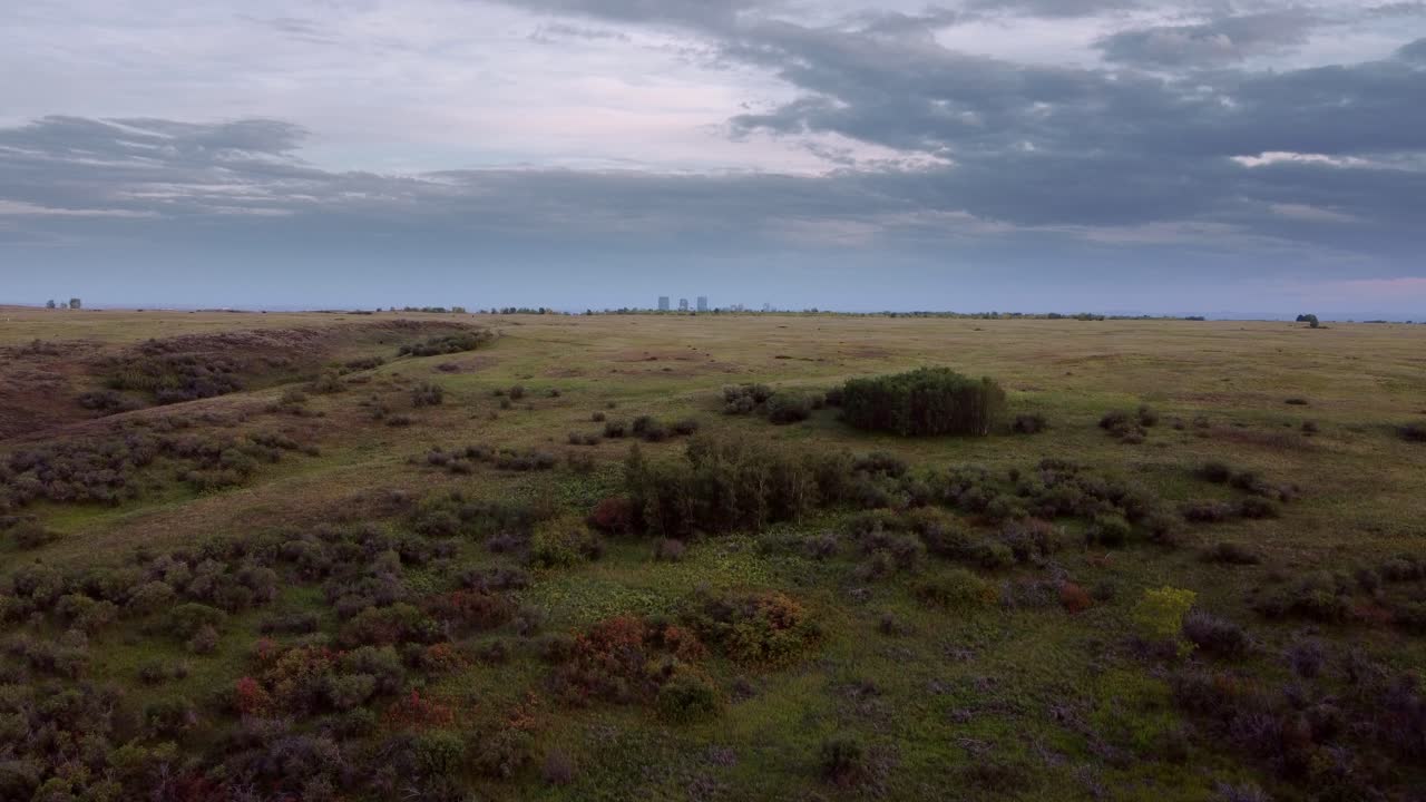 rascacielos del centro de la ciudad, emergiendo, desde el parque, en el parque de nose hill, calgary, alberta, canadá