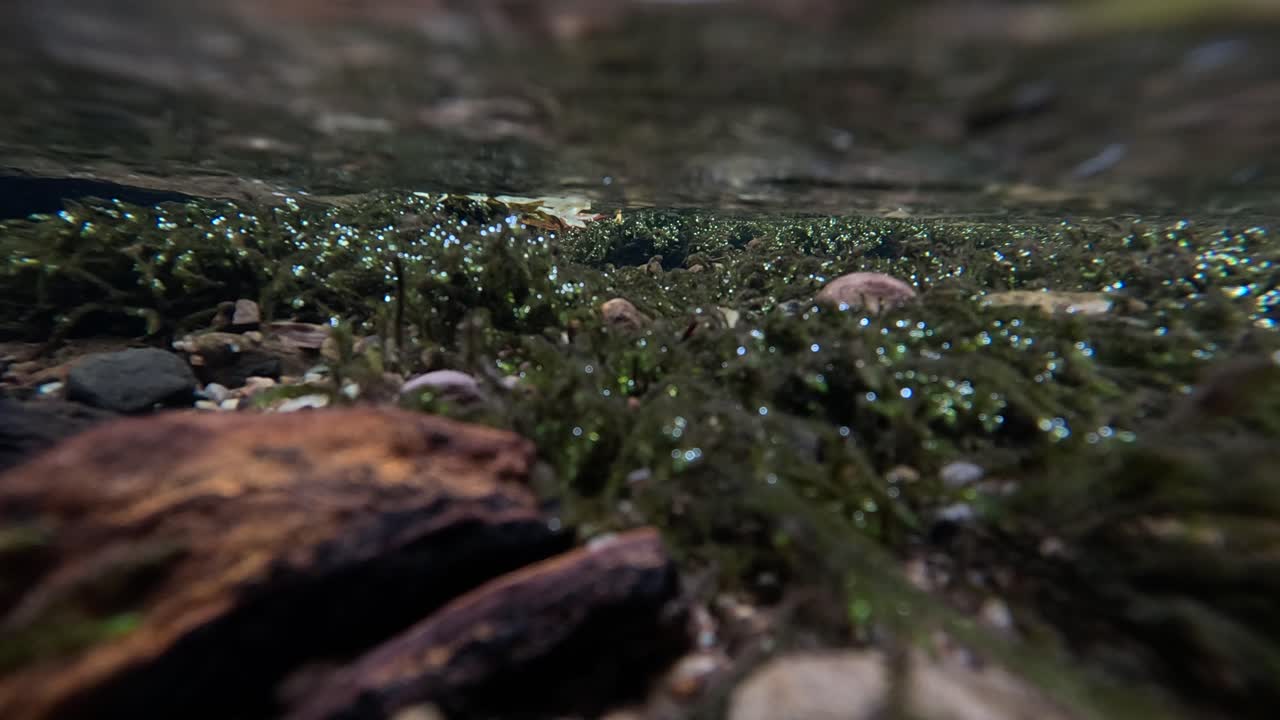 vista bajo el agua de un arroyo que fluye