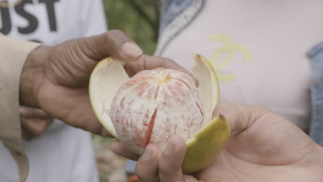 Imágenes-En-Cámara-Lenta-De-Una-Persona-Entregando-Una-Fruta-Abierta-A-Otra-Persona