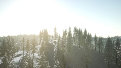 Berglandschaft-An-Einem-Sonnigen-Wintertag