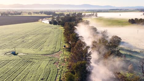 drone glides above misty fields and tree-lined road in tamworth, australia, revealing early morning fog, green crops, and golden sunlight