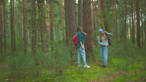 young hikers retrieve their bags in a peaceful forest, preparing to continue their journey, surrounded by tall trees and lush greenery, they pick up their bags and hang them over their shoulders