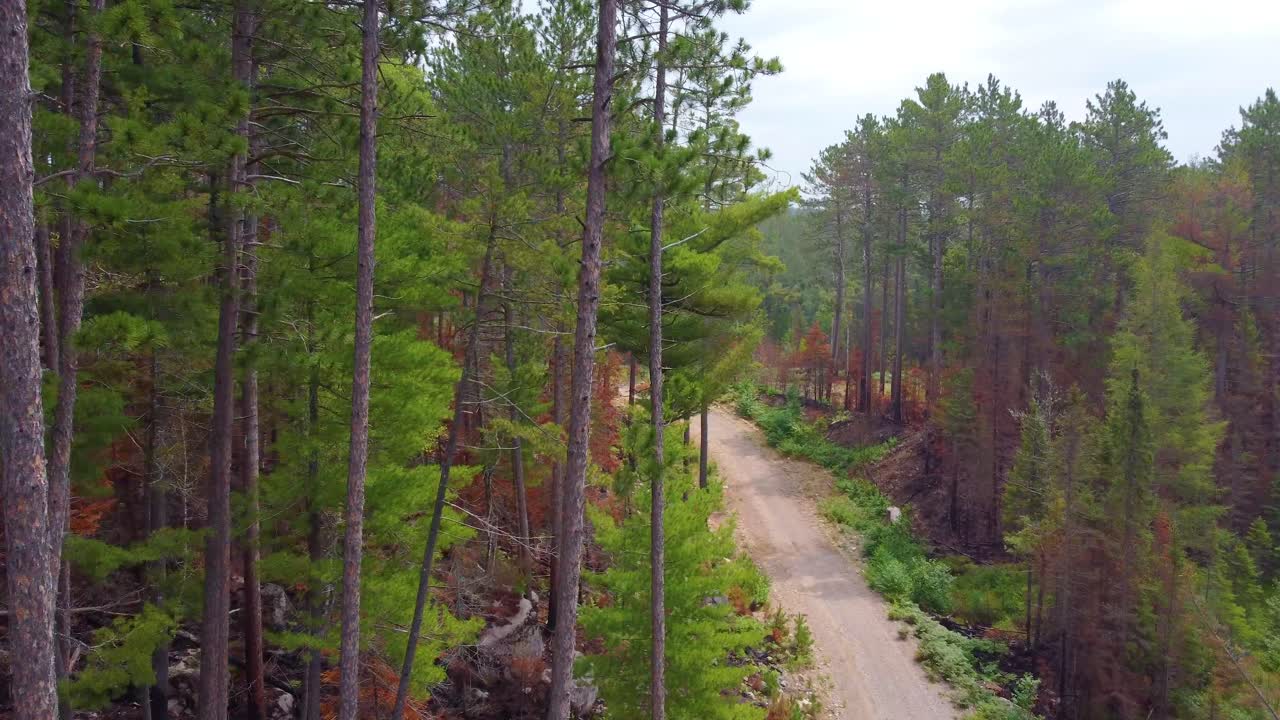 캐나다 커클랜드 호수 산불의 파괴를 통해 서사시적인 낮은 비행